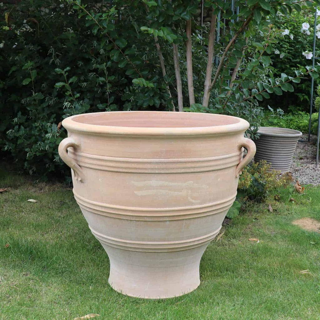 Ein großer, beigefarbener Terrakotta-Pflanzkübel „Rosa“ H=70 cm mit zwei seitlichen Griffen steht auf einer Gartenwiese, umgeben von üppigem, grünem Gebüsch. Der Topf hat einen breiten, ausgestellten Rand und einen leicht konischen Boden. Ein weiterer ähnlicher Terrakotta-Pflanzkübel „Rosa“ ist teilweise im Hintergrund sichtbar.