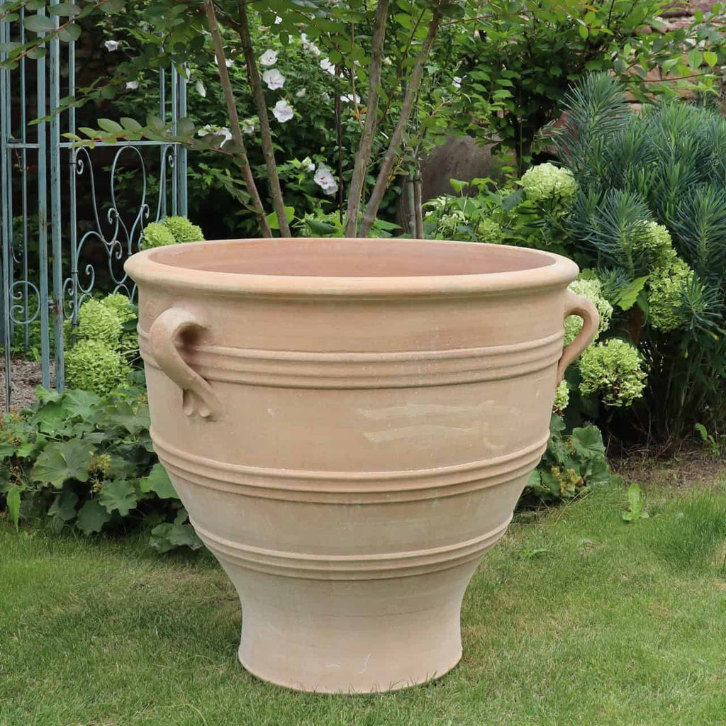 Ein großer, leerer Terrakotta-Pflanzkübel „Rosa“ mit zwei Griffen steht auf einem üppigen grünen Rasen. Er ist 70 cm hoch und kann mit Ihren Lieblingspflanzen gefüllt werden. Der Hintergrund zeigt einen Garten mit grünen Sträuchern, weißen Blumen und einer Metallgitterstruktur, die der Szene eine rustikale Note verleiht.