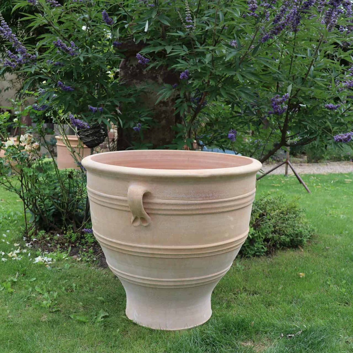 Ein großer, terrakottafarbener Pflanzkübel „Rosa“ H=70cm steht hoch mit dekorativen Griffen auf einem üppigen grünen Rasen, umgeben von verschiedenen Sträuchern und Pflanzen, darunter ein lila blühender Rosenbusch. Im Hintergrund ist ein Baumstamm zu sehen.