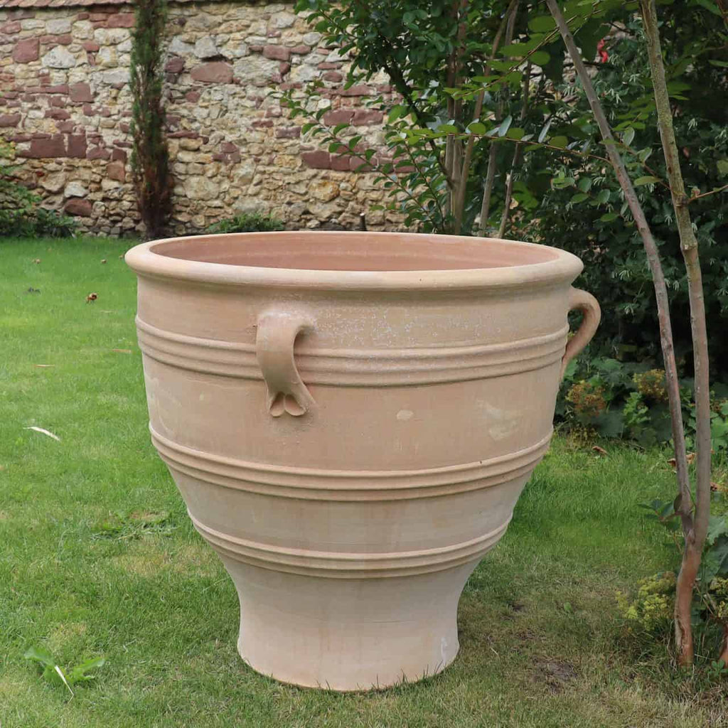 Der Terrakotta-Pflanzkübel „Rosa“ steht 70 cm hoch auf einer Rasenfläche vor einer Steinmauer. Dieser große, leere Topf hat oben zwei horizontale Griffe und einen breiteren Mittelteil, der sich nach unten hin zu einem schmalen Boden verjüngt. Um ihn herum stehen grüne Pflanzen und Bäume.