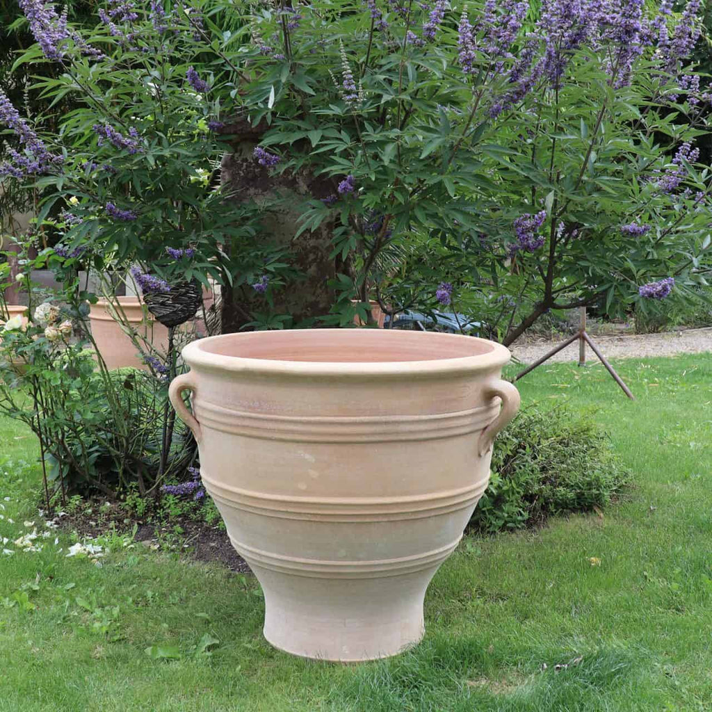 Ein großer, beiger Terrakotta-Pflanzkübel „Rosa“ (H=70cm) mit zwei Griffen an beiden Seiten steht auf einer Rasenfläche. Hinter dem Topf befindet sich eine üppige, blattreiche Pflanze mit violetten Blüten, die zu einer grünen und ruhigen Gartenumgebung beiträgt.