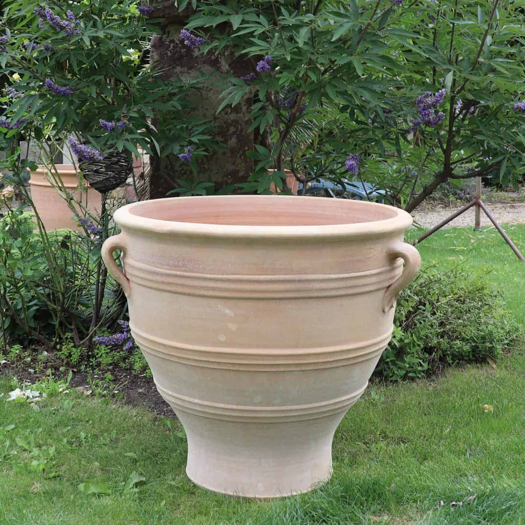 Ein großer, klassischer Terrakotta-Pflanzkübel „Rosa“ steht aufrecht auf einer Rasenfläche und verfügt über zwei Schlaufengriffe. Er ist 70 cm hoch und von üppigem grünem Laub und violett blühenden Pflanzen umgeben. Im Hintergrund sind ein Rosenbusch und der Stamm eines Baumes teilweise sichtbar.