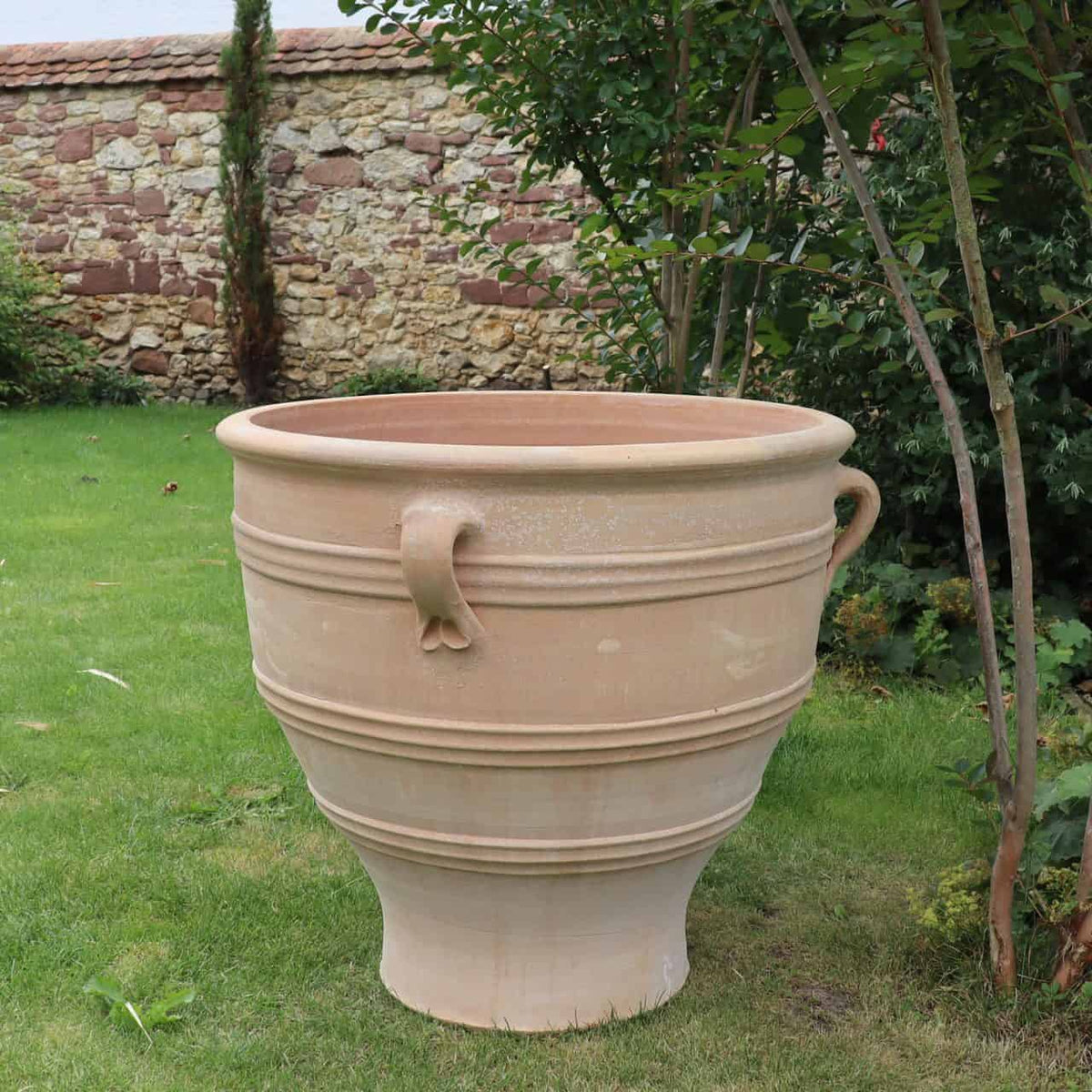 Ein großer, dekorativer Terrakotta-Pflanzkübel „Rosa“ (H=70cm) steht auf einem gepflegten Rasen. Der Topf hat eine runde Form, zwei kleine Griffe und ist mit horizontalen Rillen verziert. Im Hintergrund sind eine Steinmauer und einige Büsche und Bäume zu sehen.