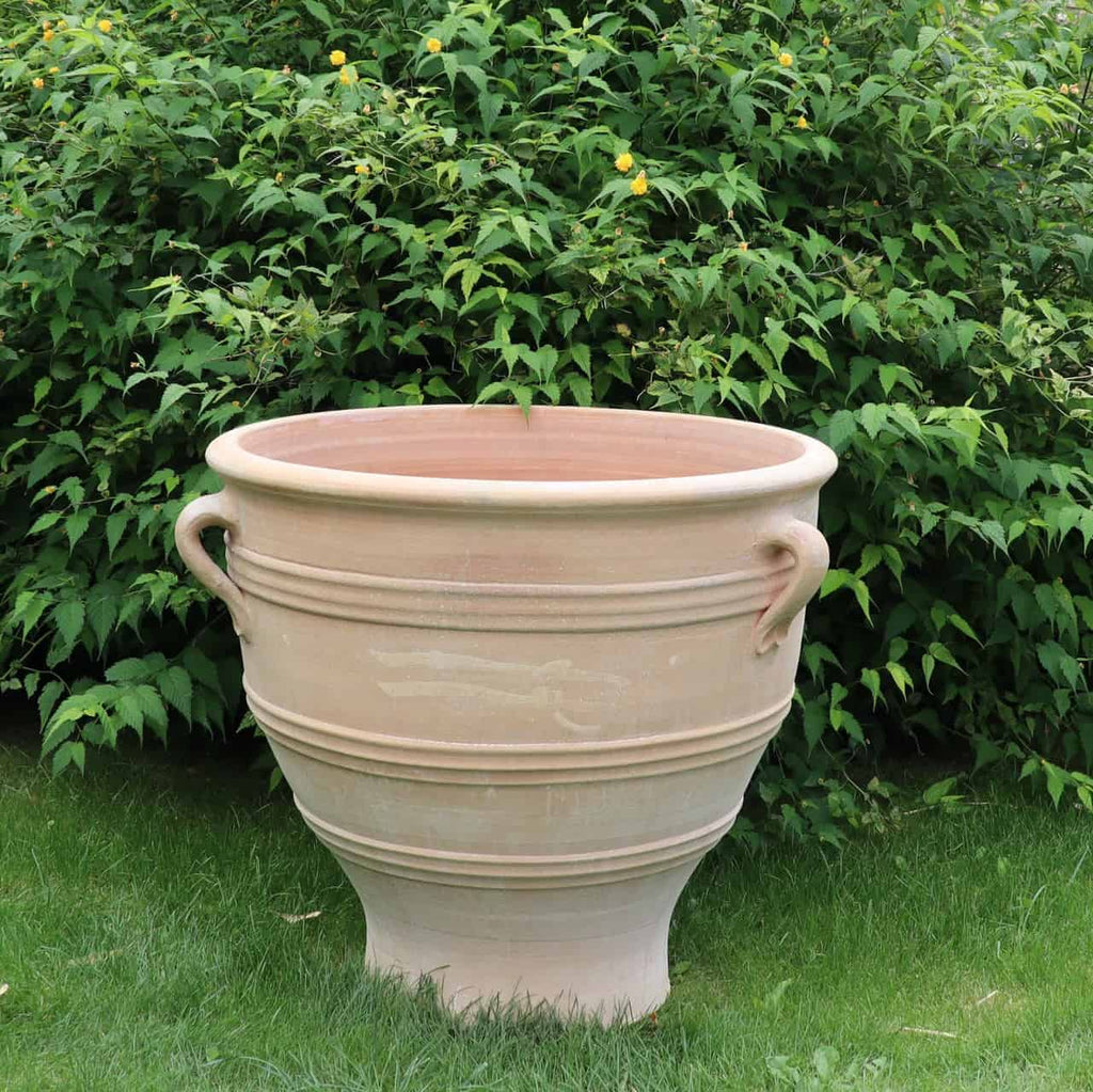 Ein großer, leerer Terrakotta-Pflanzkübel „Rosa“ H=70cm mit zwei Henkeln steht auf Gras. Der Topf hat einen ausgestellten Boden und ist von üppigem, grünem Blattwerk umgeben. Im Hintergrund sind zwischen dem Grün gelbe Blüten zu sehen.