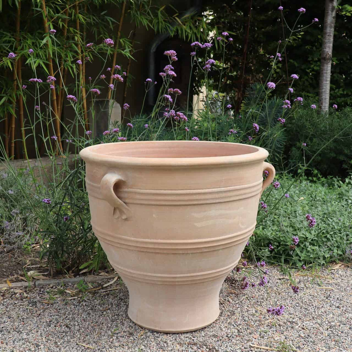 Ein großer, beiger Terrakotta-Pflanzkübel „Rosa“ H=70cm mit zwei kleinen Griffen oben steht auf einer Kiesfläche. Kräftig grüne Pflanzen und Büschel kleiner lila Blüten umgeben ihn. Im Hintergrund sind hohe Bambusstäbe und üppiges Laub zu sehen, die die Schönheit der Szene verstärken.