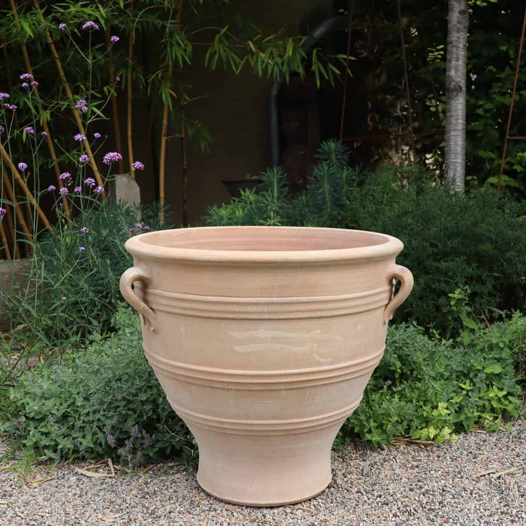 Ein großer, leerer Terrakotta-Pflanzkübel „Rosa“ (H=70cm) mit zwei seitlichen Griffen steht inmitten üppiger grüner Blätter und einem Gartenhintergrund. Dieser Terrakotta-Pflanzkübel verfügt über dekorative Rillen und steht auf einer Kiesoberfläche.