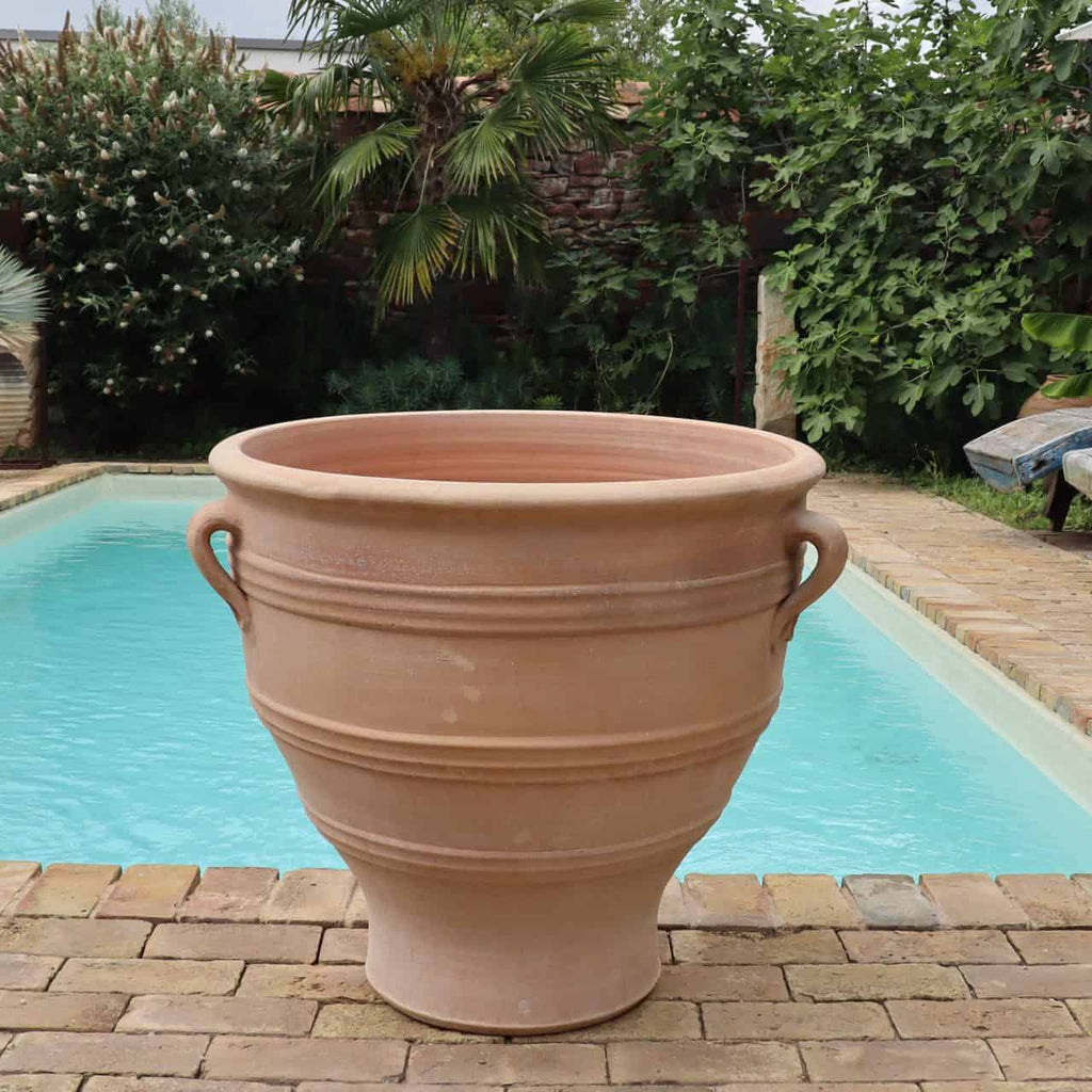 Ein großer, hellbrauner Terrakotta-Pflanzkübel „Rosa“ H=70 cm mit Griffen steht auf einem gepflasterten Bereich neben einem türkisfarbenen Swimmingpool. Üppiges Grün, darunter Palmen und Feigenbäume, umgibt den Pool und schafft eine ruhige Gartenumgebung, in der der Pflanzkübel das üppige Ambiente perfekt einrahmt.