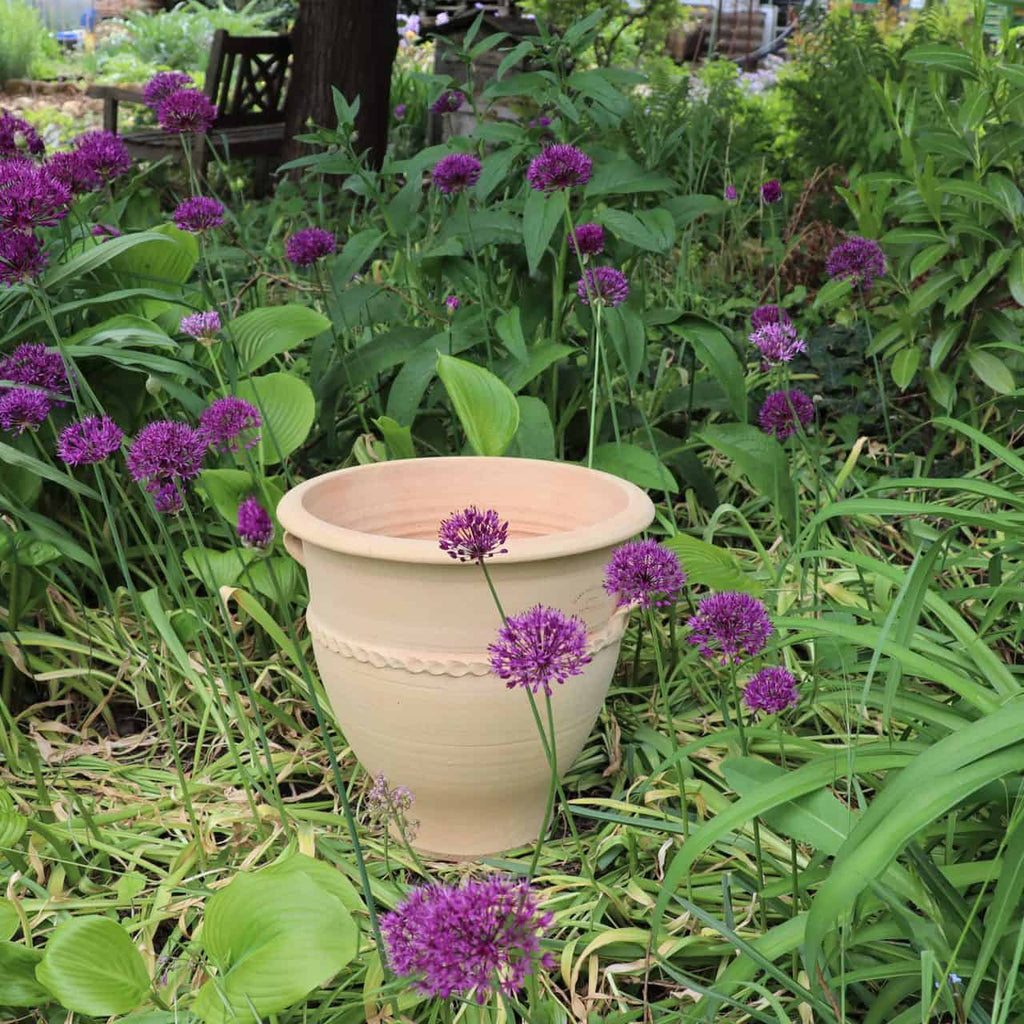 Ein großer Terrakotta-Pflanzkübel „Rosa 2“ (H=35 cm) steht leer inmitten eines Gartens voller üppiger grüner Blätter und leuchtend violetter Alliumblüten. Im Hintergrund ist eine Holzbank zu sehen, die von weiterem Grün umgeben ist und zur ruhigen Atmosphäre beiträgt.