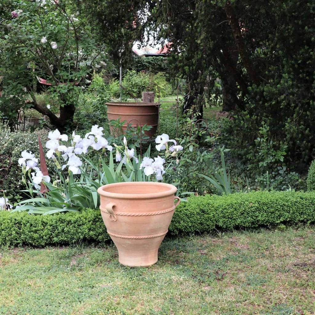 Ein Terrakotta-Pflanzkübel „Rosa 2“, H=50cm, steht auf einem gepflegten Rasen in einem üppigen Garten. Hinter dem Topf stehen weiße Schwertlilien in voller Blüte inmitten üppigen Grüns und Büschen und schaffen eine ruhige Gartenatmosphäre. Ein weiterer ähnlicher Topf ist im Hintergrund neben dichtem Laub zu sehen.