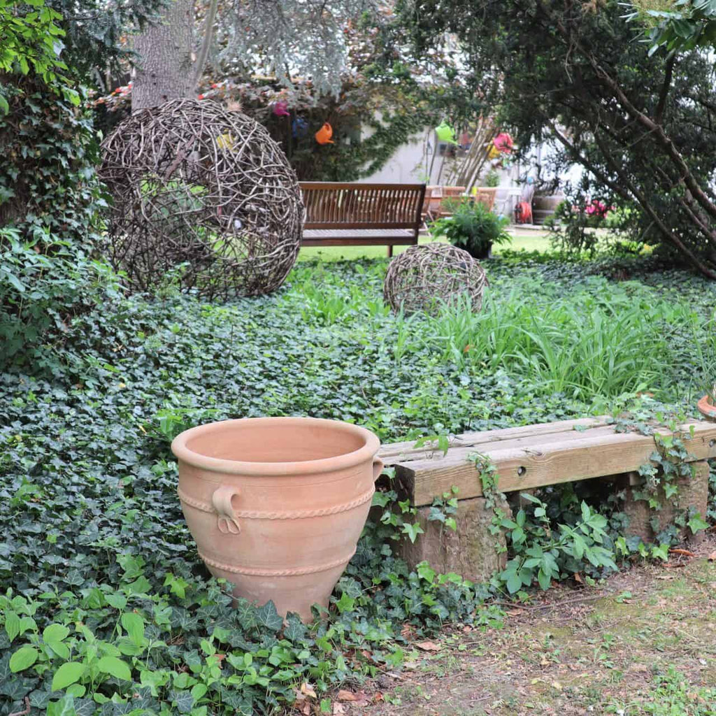 Eine Gartenszene mit einem Terrakotta-Pflanzkübel „Rosa 2“, H=50cm im Vordergrund, einer Holzbank rechts und großen kugelförmigen Skulpturen aus Zweigen im Hintergrund. Der Boden ist mit Efeu bedeckt und rundherum stehen verschiedene Pflanzen und Bäume. Ein schöner Farbtupfer verleiht dieser ruhigen Szenerie eine besondere Note.