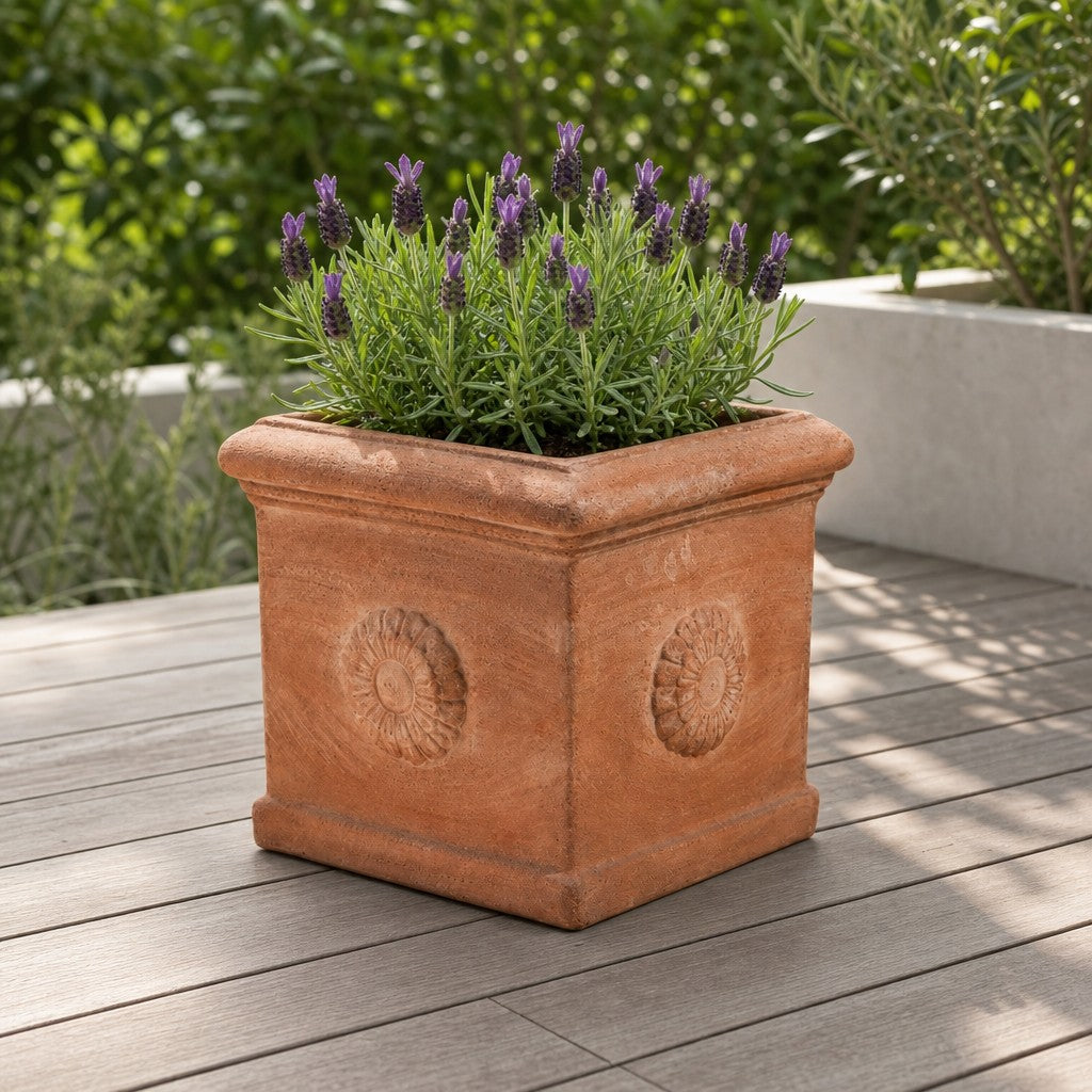 Der quadratische Terrakotta-Kübel „Rosone“ mit seinen dekorativen Blumenmustern beherbergt eine Lavendelpflanze mit grünen Blättern und violetten Blüten und steht auf einer Holzterrasse vor dem Hintergrund üppiger Vegetation.