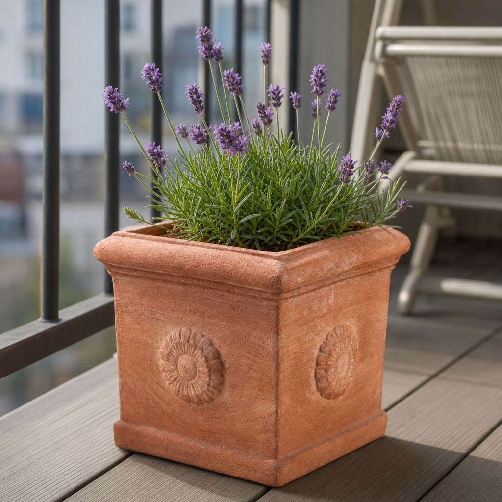 Ein quadratischer Terrakotta-Kübel „Rosone“ mit Blumenmotiven beherbergt eine blühende Lavendelpflanze auf einem Balkon mit Metallgeländer und einem Stuhl im Hintergrund.