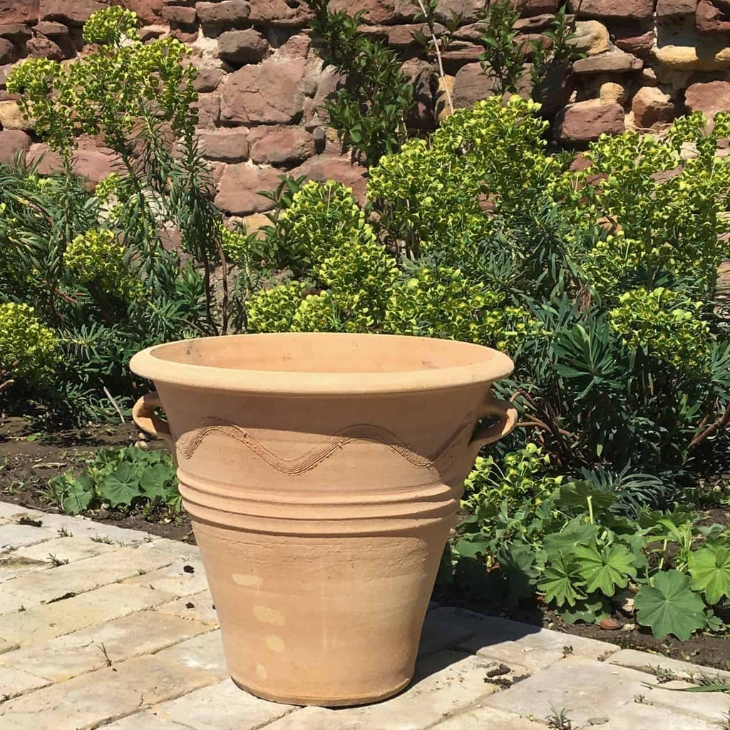 Ein großer, leerer Terrakotta-Pflanztopf, genauer gesagt der Blumenkübel „Salvia“ mit einer Höhe von 34 cm, steht auf einem Steinweg vor einem Garten voller grüner Pflanzen und gelber Blumen. Im Hintergrund ist eine teilweise mit Grün bedeckte Steinmauer zu sehen, während leuchtende Salvia-Blüten für Farbtupfer sorgen.