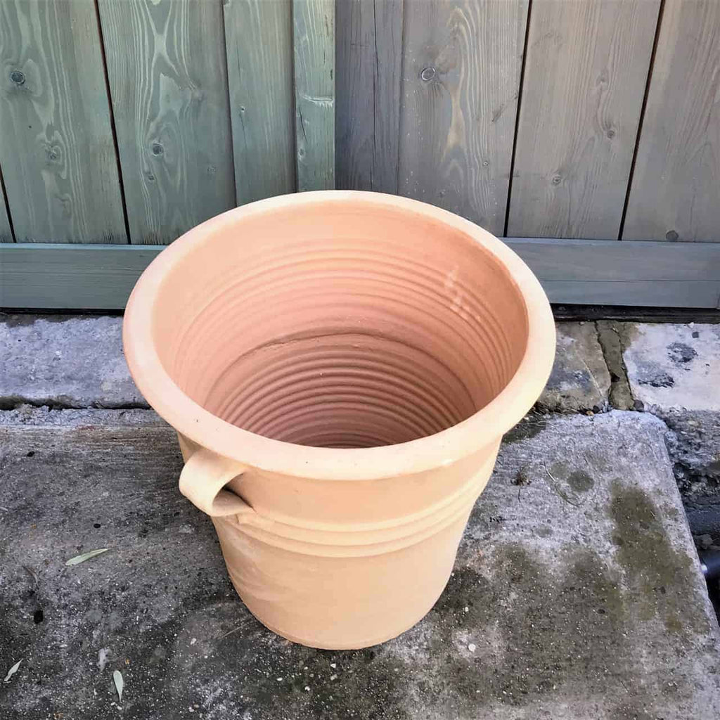 Ein großer, runder Pflanztopf aus Terrakotta, Blumenkübel „Salvia“, mit einem Griff an einer Seite steht auf einer Betonfläche. Der Hintergrund zeigt einen Holzzaun mit vertikalen Latten, der in einem hellen grünlich-grauen Farbton gestrichen ist. Der Topf ist leer und hat horizontale Rillen an der Außenseite, die darauf warten, mit Salvia oder anderen lebendigen Pflanzen gefüllt zu werden.