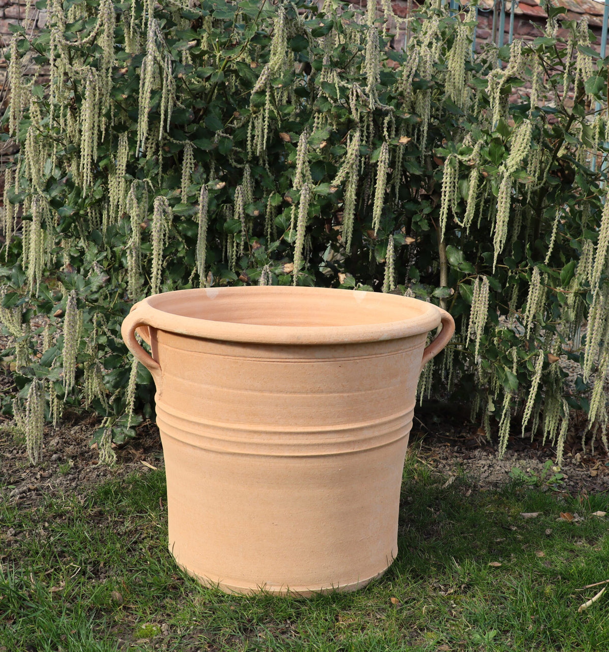 Ein großer, beiger Pflanzkübel „Salvia 2“, H=40 cm mit zwei Henkeln steht auf einer Rasenfläche vor einer mit herabhängendem, grünem Laub bedeckten Wand. Das schlichte, rustikale Design des Pflanzkübels ist leer. Der Hintergrund besteht aus Ziegelsteinen und dicht hängenden Grünpflanzen.