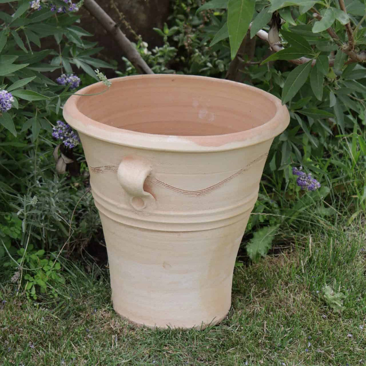 Ein großer Blumenkübel „Salvia“ aus Terrakotta mit zwei kleinen hervorstehenden Henkeln steht auf einem Grasfleck, umgeben von grünen Pflanzen mit violetten Salvia-Blüten. Der Pflanztopf hat dekorative Rillen um den Mittelteil und den oberen Rand und misst 34 cm in der Höhe.