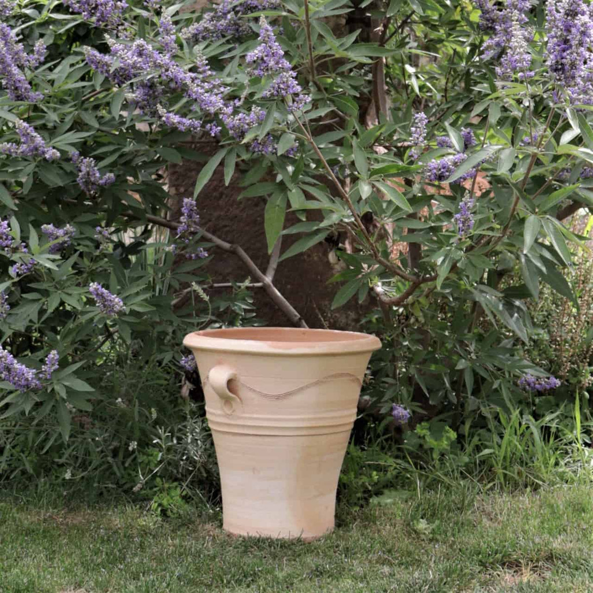 Ein beigefarbener Terrakotta-Pflanztopf, Blumenkübel „Salvia“ mit geschwungenem Griff steht auf einer Rasenfläche, umgeben von üppigem Grün und blühenden lila Salvia-Blüten. Das schlichte Design des Topfes kontrastiert mit der lebendigen Gartenkulisse.