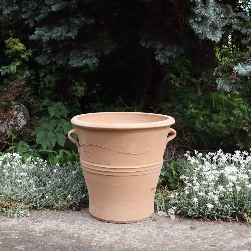 Ein großer, beigefarbener, winterfester Blumentopf „Salvia“, H=40 cm, aus Terrakotta mit zwei Griffen auf jeder Seite steht auf einer Betonfläche, umgeben von weiß blühenden Pflanzen und grünem Blattwerk. Der Topf weist ein schlichtes Design mit horizontalen Linien und einem Wellenmuster am oberen Rand auf, ergänzt durch Salvia-Blüten in der Nähe.