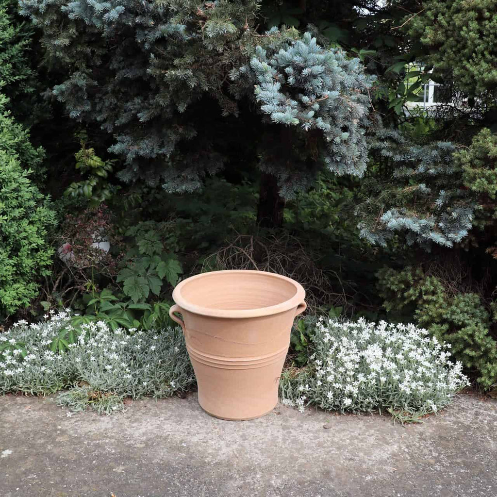 Ein großer, leerer, winterfester Blumentopf „Salvia“ (H=40 cm) steht auf einem Betonweg, umgeben von üppigen grünen Büschen und kleinen weißen Blumen. Hohe immergrüne Bäume sorgen für einen schattigen Hintergrund, während Salvia-Pflanzen Farbtupfer hinzufügen. Die Szenerie erinnert an einen ruhigen Gartenbereich.