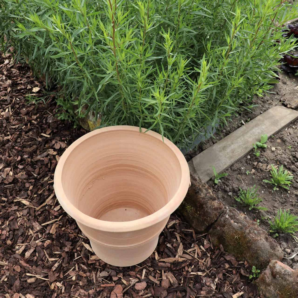 Ein leerer winterfester Blumentopf „Salvia“, H=40 cm, steht auf Holzmulch neben einem Hochbeet mit üppigem Salvia-Blattwerk. Auf der rechten Bildseite ist ein Steinweg zu sehen.