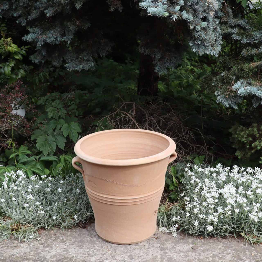 Ein großer 40 cm winterfester Blumentopf „Salvia“ mit zwei Henkeln auf beiden Seiten steht auf dem Boden, umgeben von dichtem grünem Laub und weißen Salvia-Blüten. Im Hintergrund sind ein großer Baum und Sträucher abgebildet.