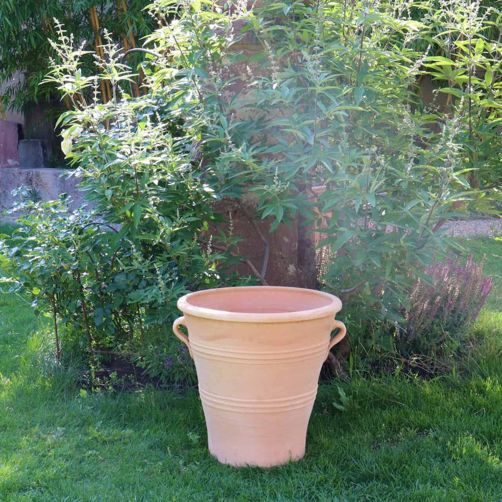 Ein großer frostfester Terrakotta-Blumenkübel „Salvia“ mit zwei Henkeln steht auf saftigem, grünem Gras. Dahinter bilden dichtes Laub und Pflanzen, darunter leuchtende Salvia, einen natürlichen Hintergrund, durch dessen Blätter das Sonnenlicht fällt.