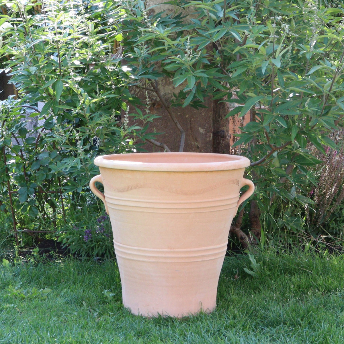 Ein großer, beiger, frostfester Terrakotta-Blumenkübel „Salvia“ mit zwei Henkeln steht auf einem gepflegten Rasen. Der 50 cm hohe Topf ist leer und von üppigen grünen Pflanzen und Bäumen umgeben. Salvia verleiht der gut beleuchteten Szene einen Hauch von Farbe und suggeriert einen sonnigen Tag.