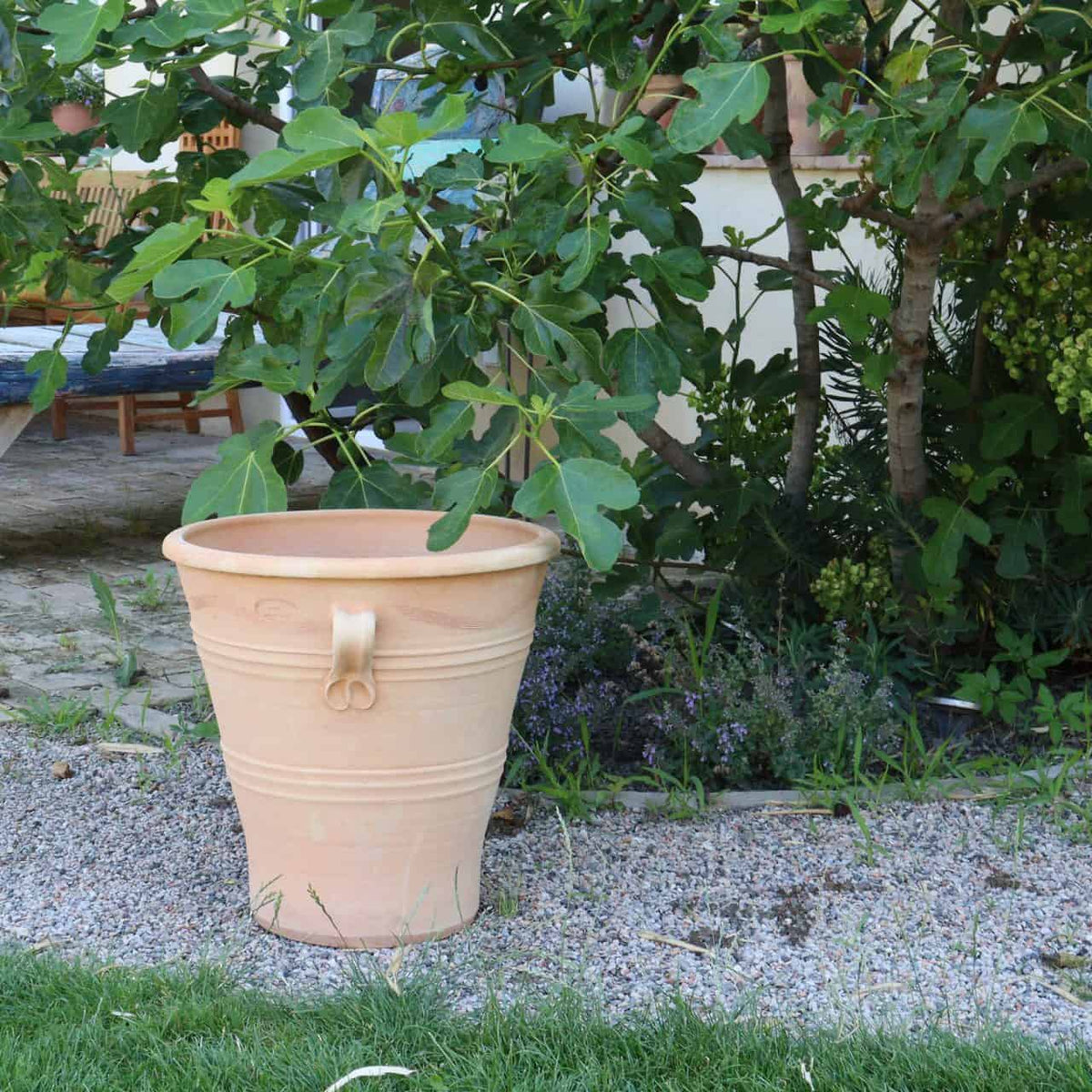 Ein großer, heller, frostfester Terrakotta-Blumenkübel „Salvia“ steht auf einer Kiesfläche unter einem grünen Baum. Der 50 cm hohe Topf hat an der Seite ein Griffmotiv. Im Hintergrund ist eine Gartenfläche mit Salvia-Pflanzen und einer Holzbank zu sehen.