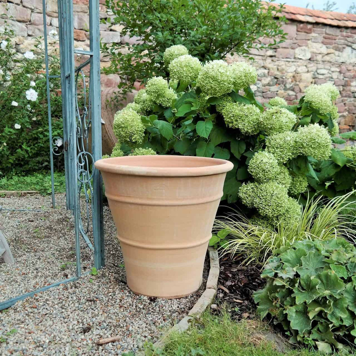 Ein großer frostfestes Terrakotta-Pflanzkübel „Hibiskus“ (H=50 cm) steht auf einem Kiesweg neben einem Metallspalier im Garten. Dahinter bilden üppig grüne Hortensienbüsche mit weißen Blüten und verschiedene andere Pflanzen, darunter auch Hibiskus, eine lebendige und reiche Kulisse. Eine Steinmauer umschließt den Garten.