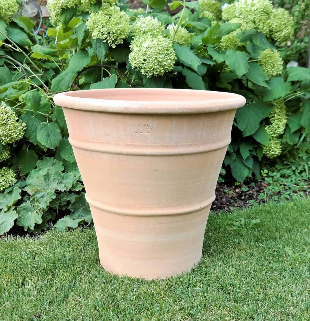 Ein großer, leerer frostfester Terrakotta-Pflanzkübel „Hibiscus“, H=50 cm, steht auf üppigem grünem Gras mit einem Hintergrund aus kräftigem Laub und blühenden Hortensien. Der Topf hat ein glattes, leicht konisches Design mit subtilen horizontalen Linien, perfekt zum Pflanzen von widerstandsfähigem, floxresistentem Hibiscus.
