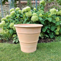 Der frostbeständige Terrakotta-Pflanzkübel „Hibiscus“ mit einer Höhe von 50 cm steht auf grünem Gras vor einem üppigen Garten mit blühenden weißen Hortensien und Grünpflanzen. Im Hintergrund ist eine Steinmauer zu sehen, und ein leuchtender Hibiscus verleiht der ruhigen Szene einen Hauch exotischer Farbe.