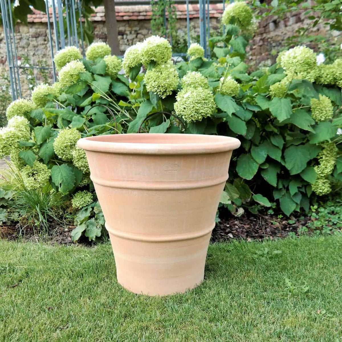 Der frostbeständige Terrakotta-Pflanzkübel „Hibiscus“ mit einer Höhe von 50 cm steht auf grünem Gras vor einem üppigen Garten mit blühenden weißen Hortensien und Grünpflanzen. Im Hintergrund ist eine Steinmauer zu sehen, und ein leuchtender Hibiscus verleiht der ruhigen Szene einen Hauch exotischer Farbe.