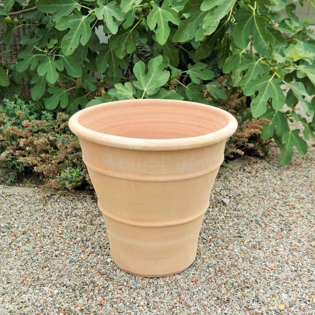 Der frostfeste Terrakotta-Pflanzkübel „Hibiscus“ mit einer Höhe von 50 cm steht leer auf einer Kiesfläche vor üppigem grünem Laub. Der Topf hat ein einfaches, konisches Design mit glatter Oberfläche und ist damit ein ideales Zuhause für einen lebendigen Hibiskus. Seine frostfeste Qualität sorgt für Haltbarkeit über die Jahreszeiten hinweg.