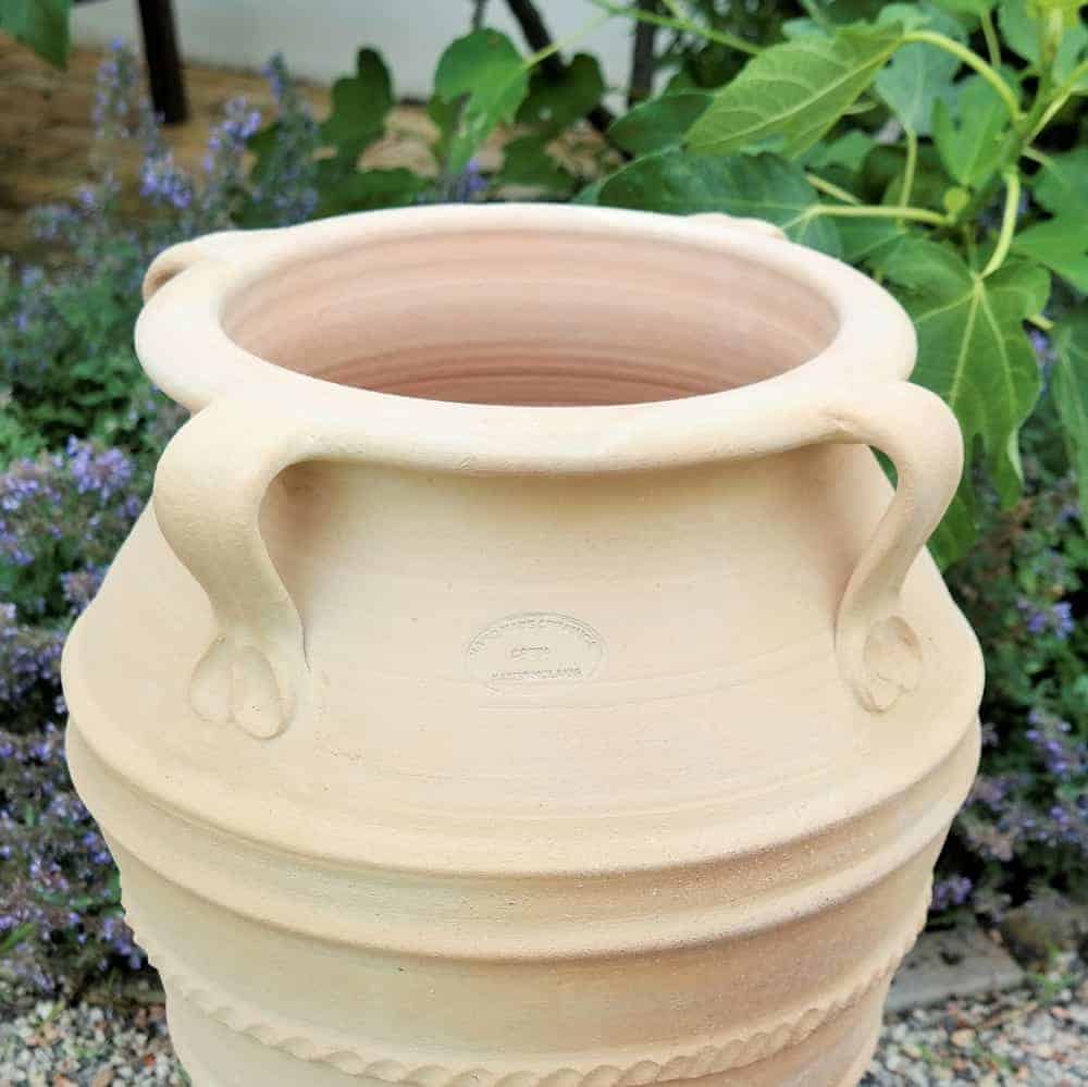 Eine große frostfeste Terrakotta-Amphore mit Henkel „Datura“ mit offener Oberseite und dekorativen, geschwungenen Griffen steht in einem Garten im Freien. Im Hintergrund sind grünes Laub und kleine violette Datura-Blüten zu sehen. Die Amphore weist strukturierte Details um ihren Körper auf und ist 50 cm hoch.