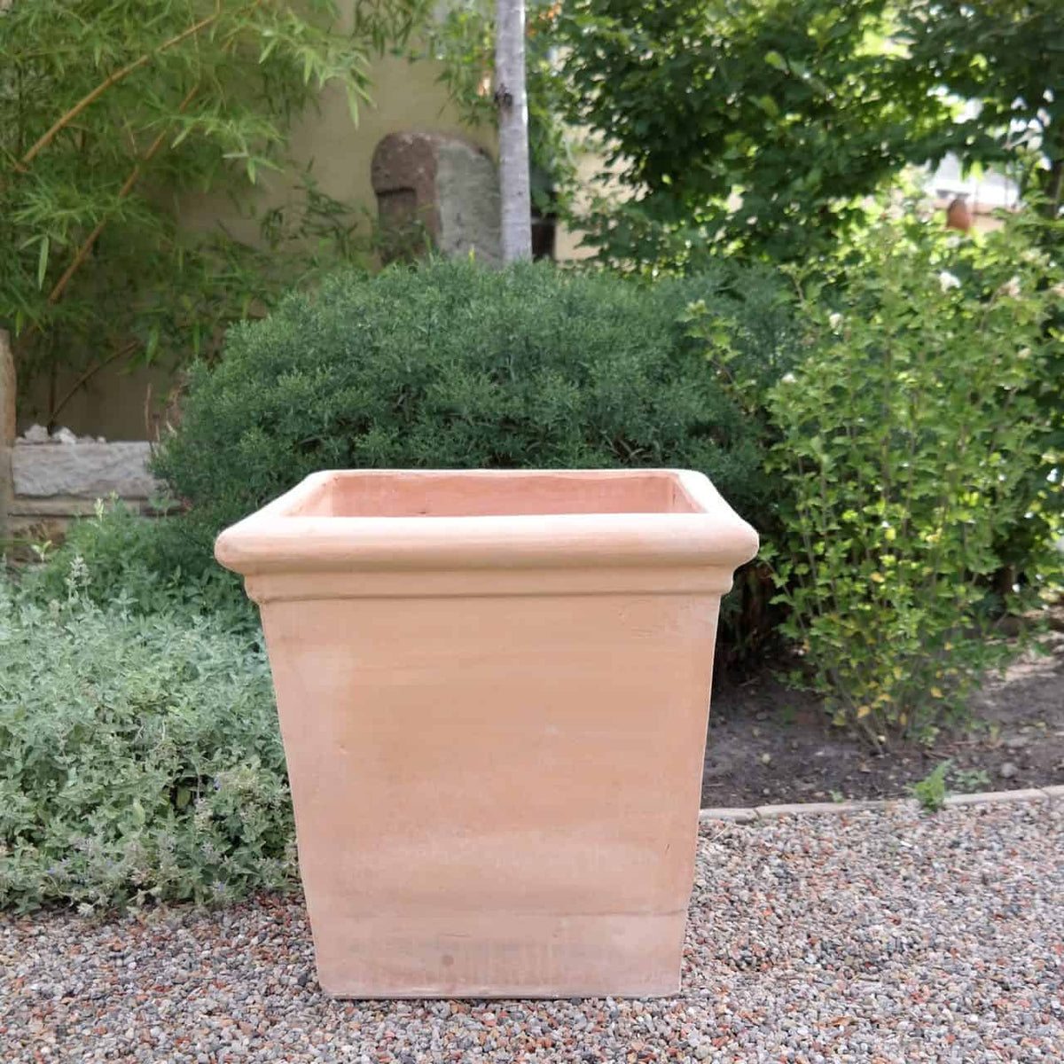 Ein großer, leerer Pflanztopf aus Terrakotta „Laurus“, eckig, H=26cm steht auf einer Kiesfläche in einem Garten. Im Hintergrund sind üppige grüne Büsche und Lorbeerbäume zu sehen, die eine ruhige und natürliche Atmosphäre schaffen.