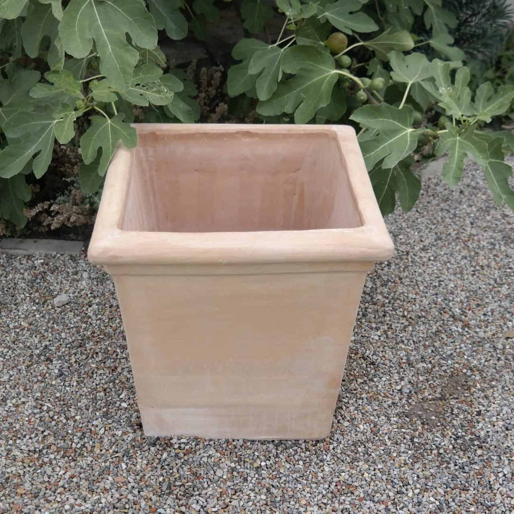Ein quadratischer, hellbrauner Pflanztopf aus Terrakotta „Laurus“, 26 cm hoch, mit leicht ausgestelltem Rand steht auf einer Kiesfläche. Im Hintergrund sind grüne Blattpflanzen, darunter ein Laurus, zu sehen.