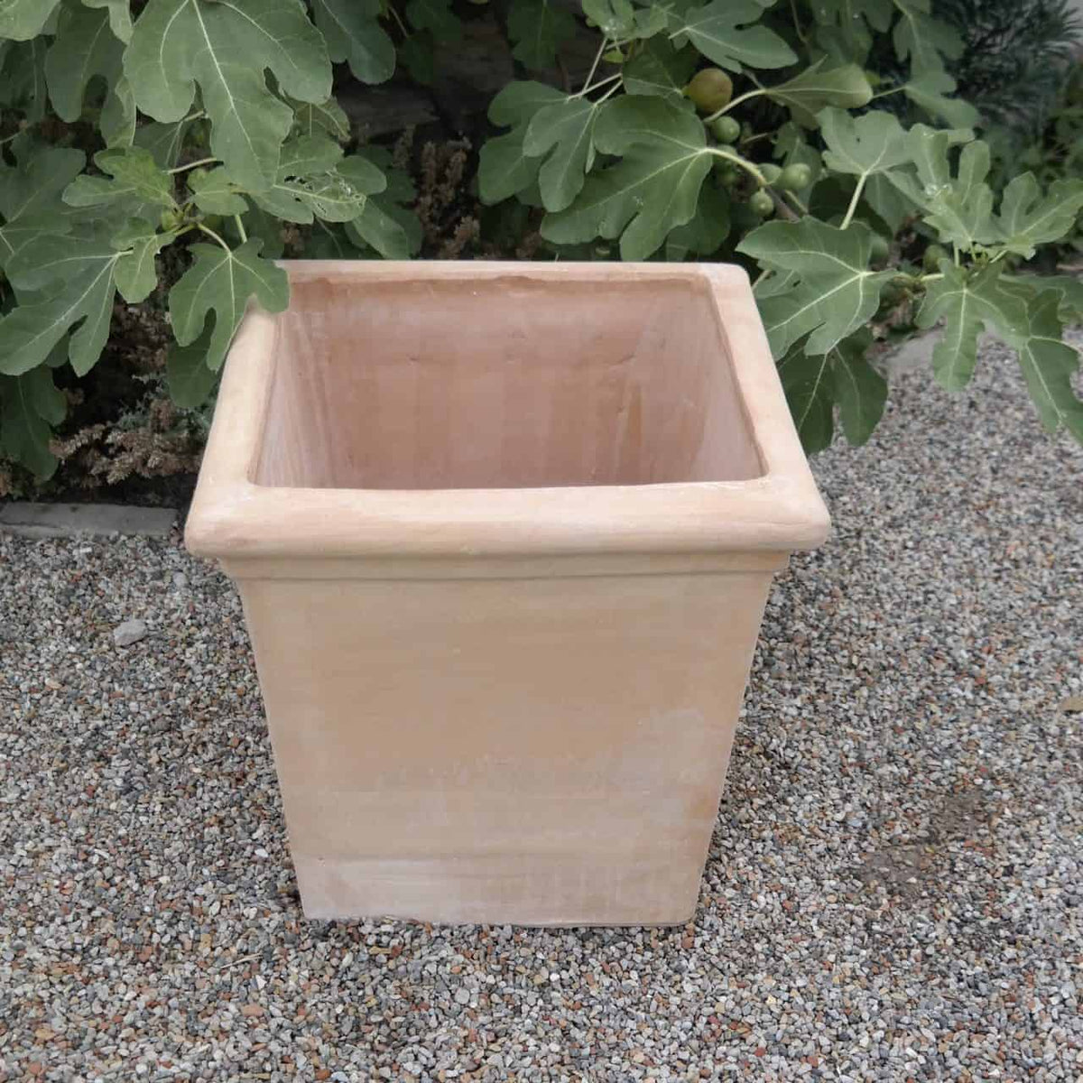Ein quadratischer, hellbrauner Pflanztopf aus Terrakotta „Laurus“, 26 cm hoch, mit leicht ausgestelltem Rand steht auf einer Kiesfläche. Im Hintergrund sind grüne Blattpflanzen, darunter ein Laurus, zu sehen.