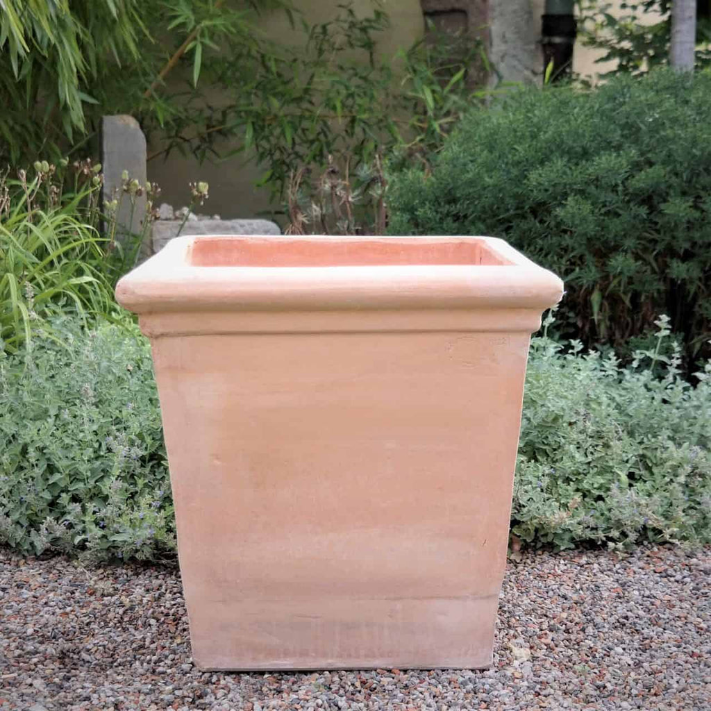 Ein großer, rechteckiger Pflanztopf aus Terrakotta „Laurus“ mit einer Höhe von 26 cm steht auf einer Kiesfläche. Der Pflanztopf ist leer und zeigt sein glattes, erdfarbenes Äußeres. Er ist von verschiedenen Grünpflanzen und Lorbeerblättern umgeben, die im Hintergrund eine natürliche Gartenkulisse bilden.
