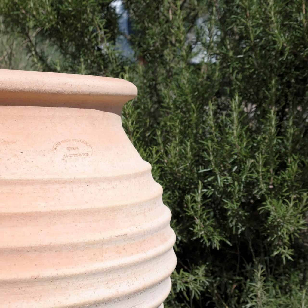 Nahaufnahme einer beigen, gerippten winterfesten Dekorationsamphore „Ficus“ H=50cm, bei der ein Teil des runden Randes sichtbar ist, vor einem verschwommenen Hintergrund aus üppigem grünem Ficuslaub. Die natürliche Textur der dekorativen Amphore kontrastiert mit den grünen Pflanzen dahinter.