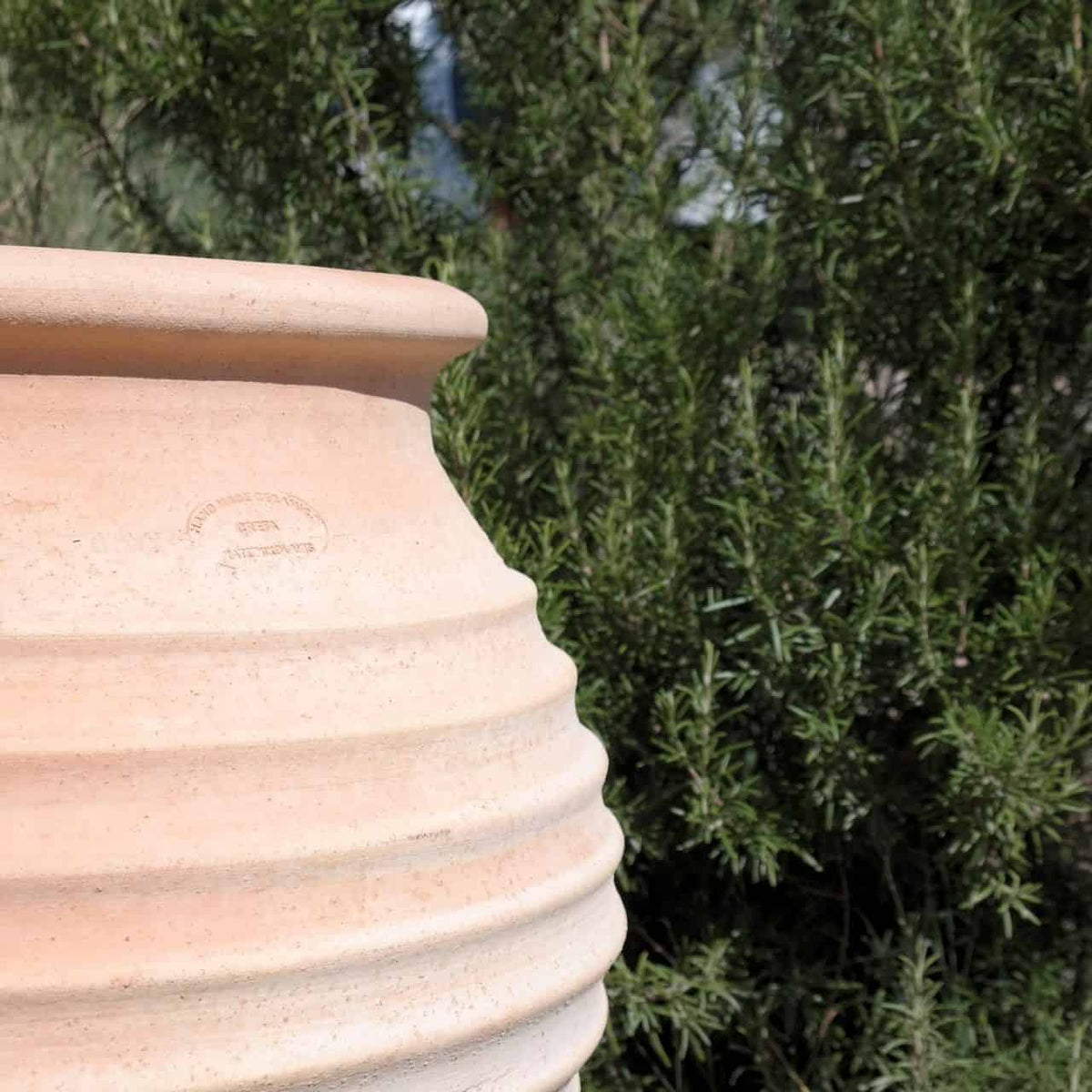 Nahaufnahme einer beigen, gerippten winterfesten Dekorationsamphore „Ficus“ H=50cm, bei der ein Teil des runden Randes sichtbar ist, vor einem verschwommenen Hintergrund aus üppigem grünem Ficuslaub. Die natürliche Textur der dekorativen Amphore kontrastiert mit den grünen Pflanzen dahinter.