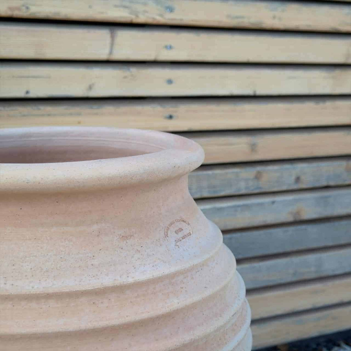 Im Vordergrund ist eine große, beigefarbene winterfeste Dekorationsamphore „Ficus“ aus Keramik (H=50 cm) mit dezenter Struktur und Rillen abgebildet. Der Hintergrund besteht aus horizontalen Holzbrettern in verschiedenen hellbraunen Schattierungen, die für ein rustikales Aussehen sorgen. Aus der Öffnung der Amphore ragt eine üppige Ficuspflanze hervor.