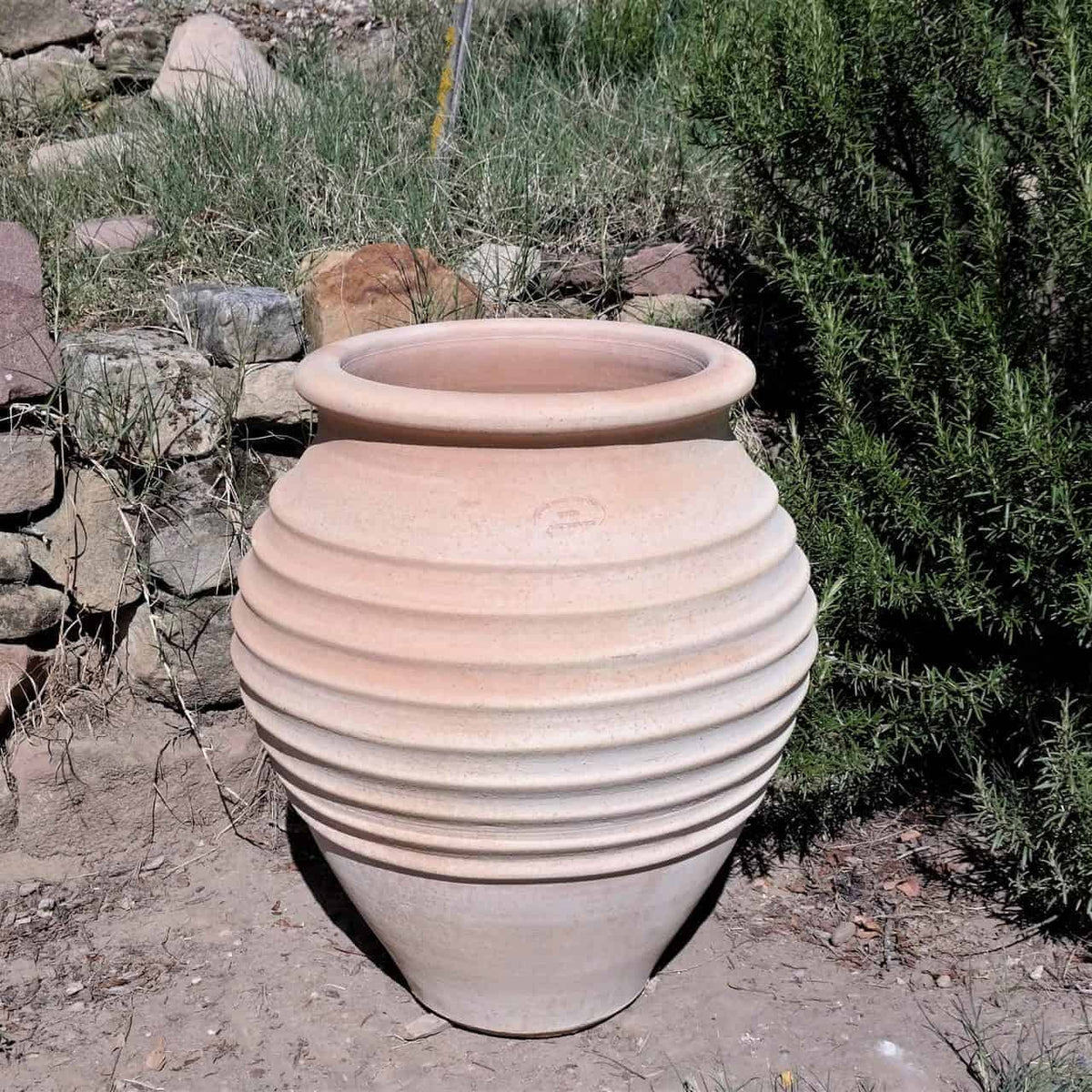 Eine große, beige, gerippte winterfeste Dekoamphore aus Keramik „Ficus“ H=50cm steht im Freien neben einem üppigen grünen Strauch und einer Stützmauer aus Stein. Die Vase hat eine breite, runde Öffnung und einen schmalen Fuß. Trockenes Gras und verstreute Steine umgeben den Bereich und deuten auf eine rustikale Gartenumgebung hin.
