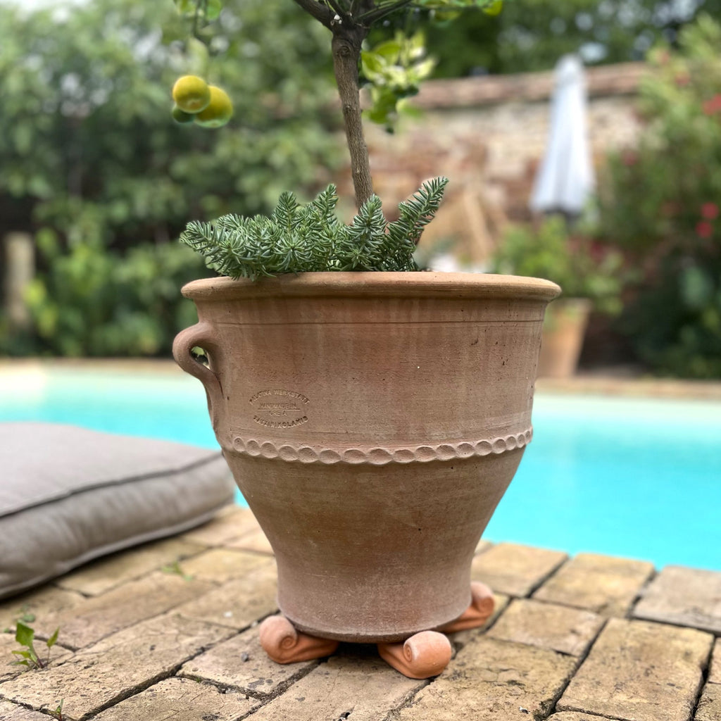 Ein Terrakotta-Topf mit einem kleinen Baum und Grünpflanzen darin steht auf einem Satz von vier dekorativen Terrakotta-Topfschneckenfüßen auf einer gemauerten Terrasse in der Nähe eines Pools. Im Hintergrund sind ein Kissen und ein Garten zu sehen, eingerahmt von einer Ziegelmauer und üppigem Grün. Die ruhige Umgebung ist sowohl einladend als auch ruhig.