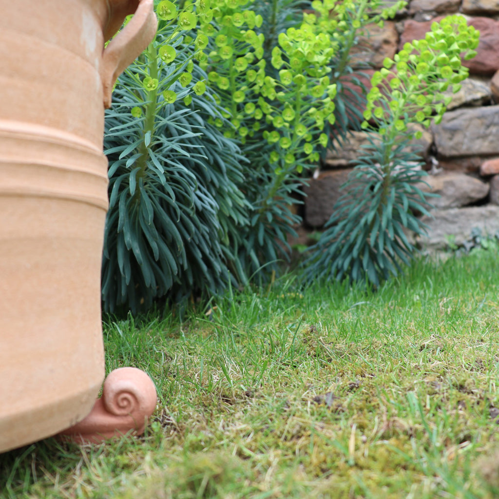 Ein großer Blumentopf aus dem terrakottafarbenen Topfschnecken-Set 4 St. mit schneckenförmigem Fuß steht auf einer Wiese neben leuchtend grünen, blattreichen Pflanzen. Hinter den Pflanzen ist teilweise eine Steinmauer sichtbar, die der Szene einen rustikalen Charme verleiht, der an traditionelle Topfschnecken-Stile erinnert.