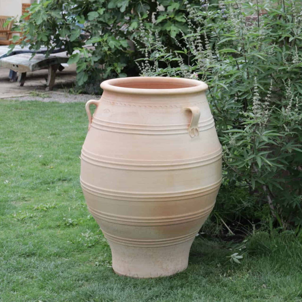 Eine XXL-Terrakotta-Amphore „Thymus“, 100 cm hoch, mit großem hellbraunem Keramikkörper, horizontalen Rillen und zwei Henkeln auf jeder Seite, schmückt einen üppigen Garten, umgeben von Grün. Die Amphore steht auf einer Rasenfläche mit einer Holzbank im Hintergrund neben Thymusbeeten.