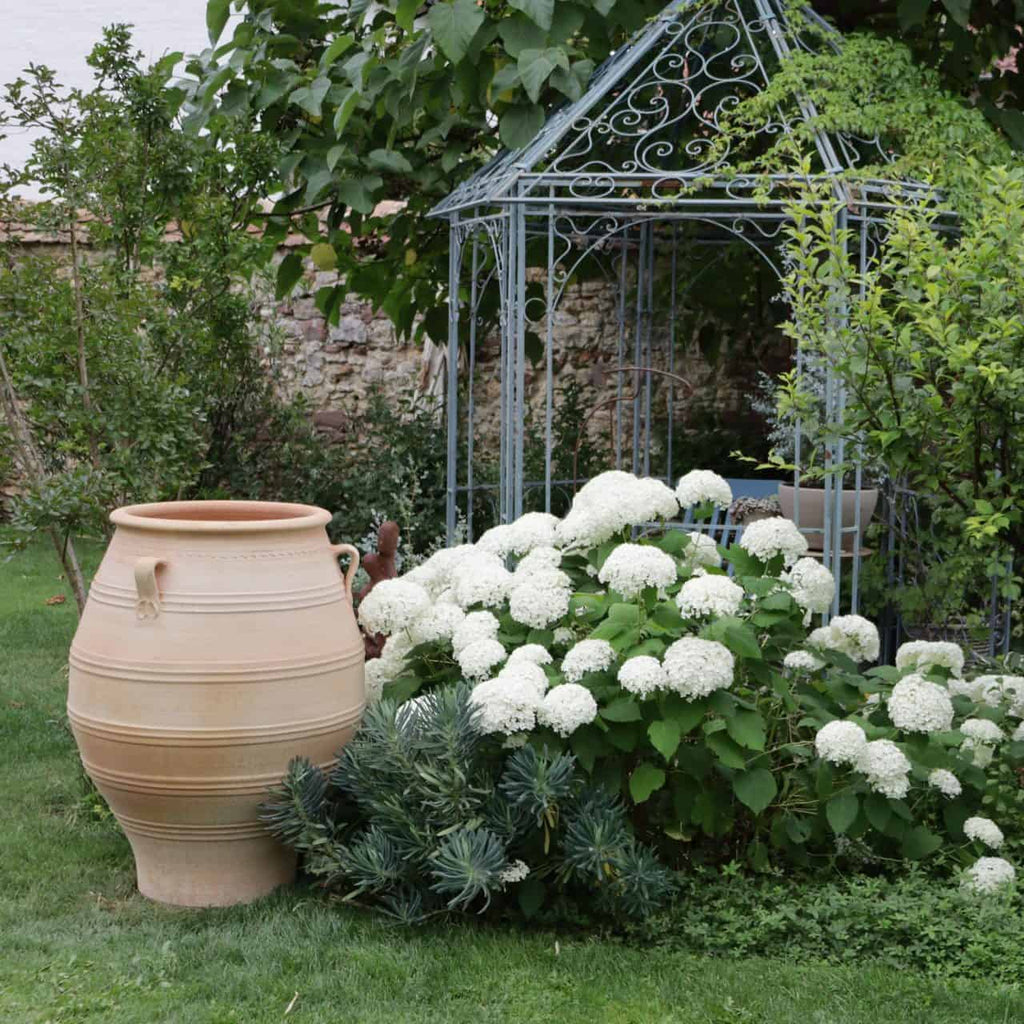 Ein Garten mit weißen Hortensienblüten, einer XXL-Terrakotta-Amphore namens „Thymus“ (H=100 cm) und einem dekorativen Metallpavillon. Der Bereich ist üppig grün, mit verschiedenen Pflanzen und Sträuchern vor dem Hintergrund einer Steinmauer.