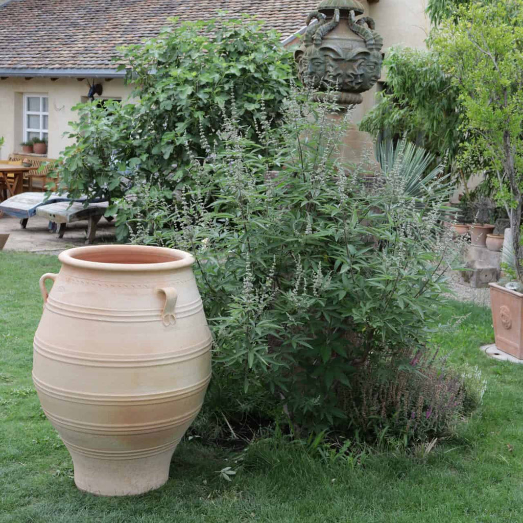 Eine XXL-Terrakotta-Amphore „Thymus“ mit einer Höhe von 100 cm steht neben üppigem Grün in einer Rasenfläche. Im Hintergrund ist ein beiges Gebäude mit Ziegeldach und einer teilweise sichtbaren Terrasse mit Holzmöbeln zu sehen. Der Garten ist mit verschiedenen Topfpflanzen und Dekorationsgegenständen bestückt.