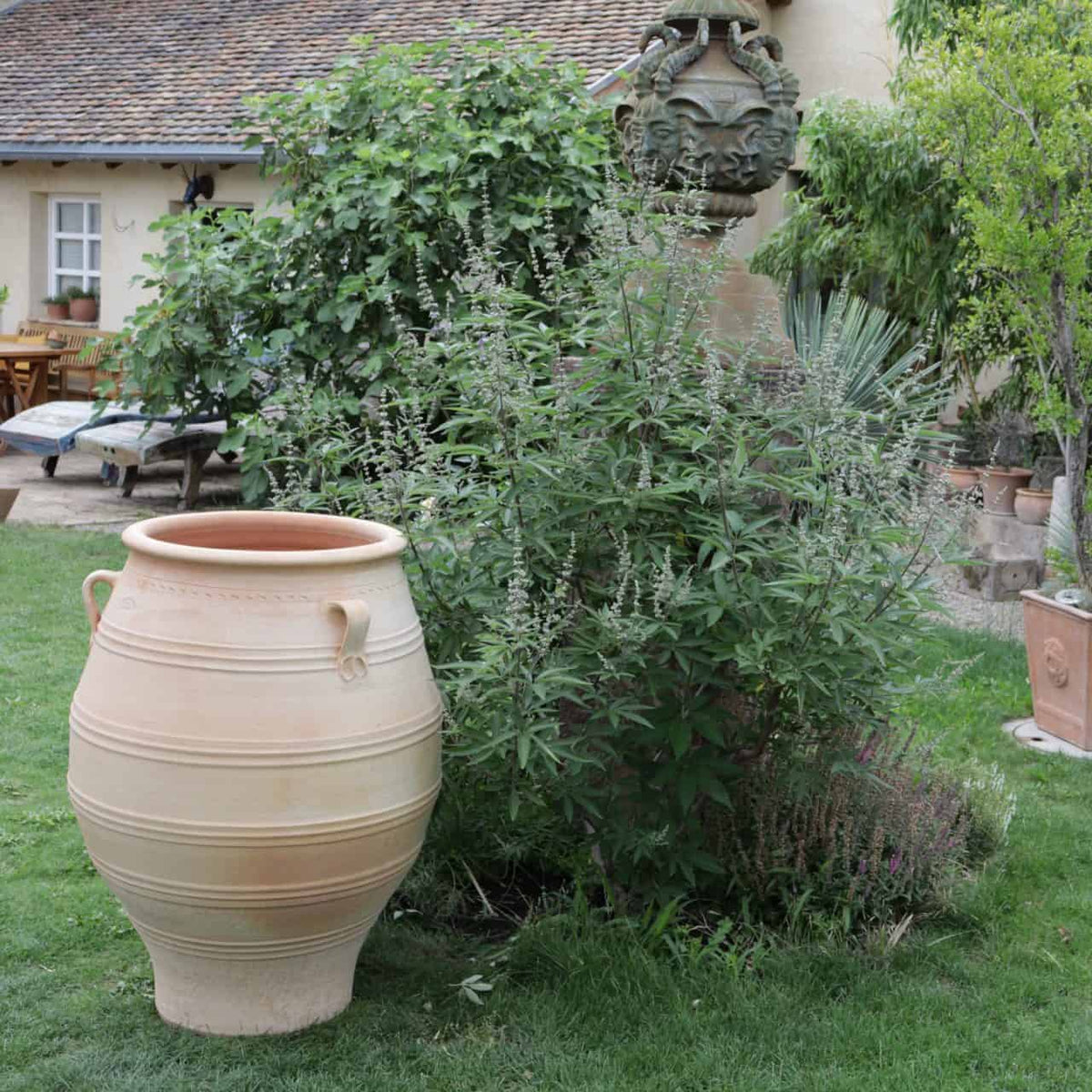 Eine XXL-Terrakotta-Amphore „Thymus“ mit einer Höhe von 100 cm steht neben üppigem Grün in einer Rasenfläche. Im Hintergrund ist ein beiges Gebäude mit Ziegeldach und einer teilweise sichtbaren Terrasse mit Holzmöbeln zu sehen. Der Garten ist mit verschiedenen Topfpflanzen und Dekorationsgegenständen bestückt.
