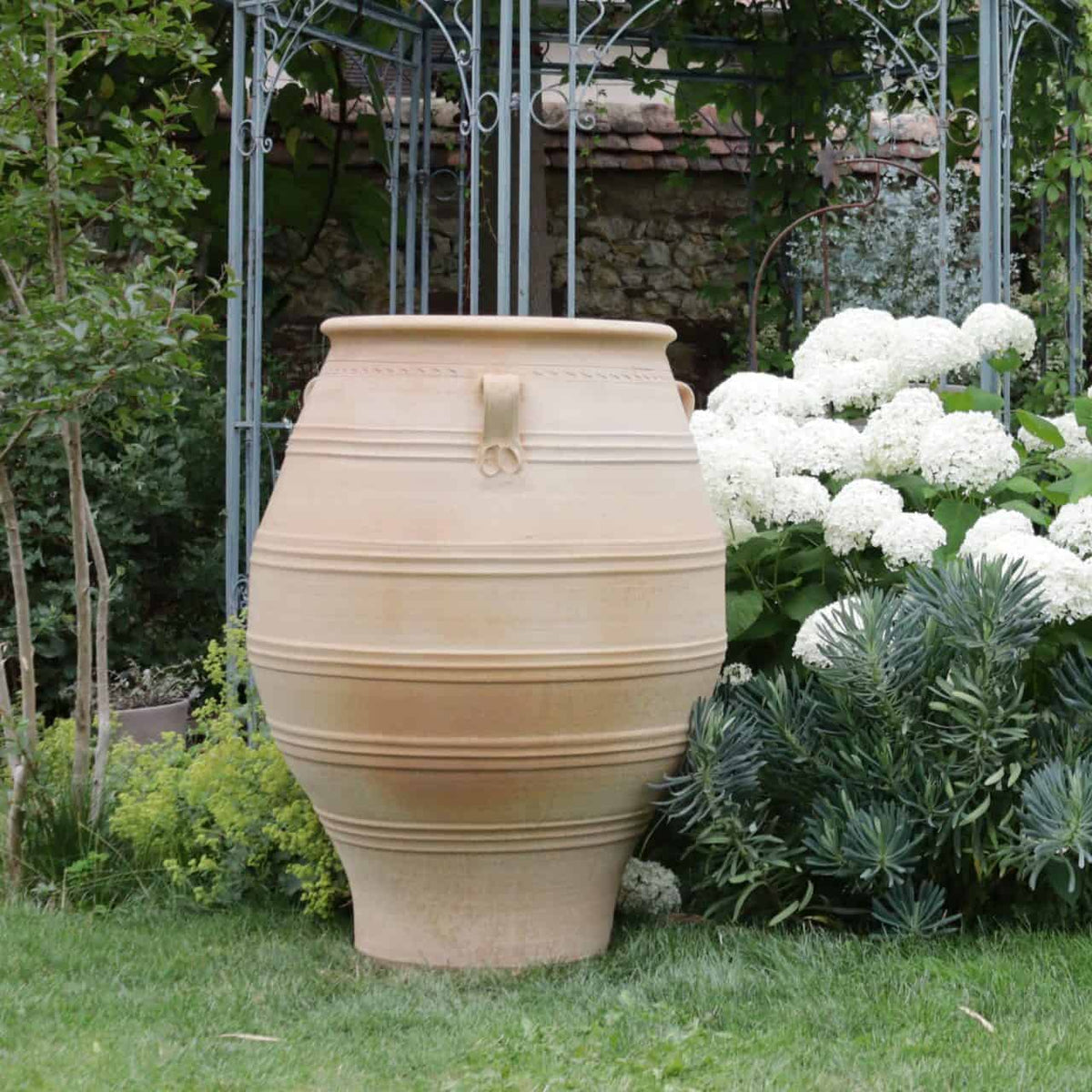 Eine XXL-Terrakotta-Amphore „Thymus“ mit 100 cm Höhe und horizontalen Rillen steht auf einer Rasenfläche. Sie ist von üppigem Grün und weiß blühenden Thymuspflanzen umgeben, während eine kunstvolle Metallgitterstruktur und eine Steinmauer als Hintergrund dienen.