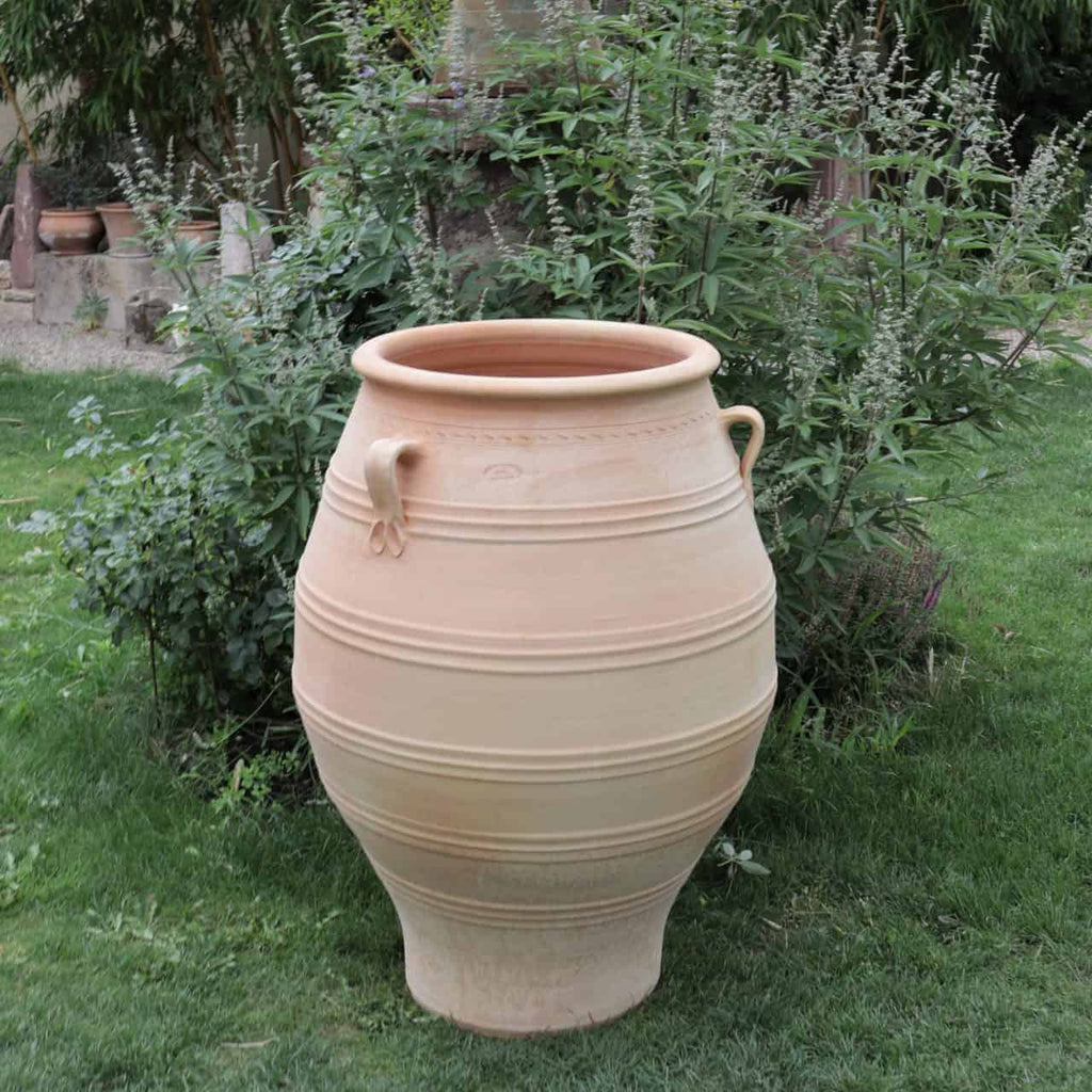 Ein großer, beiger Keramiktopf mit dekorativen Griffen und Rillen steht auf einer Rasenfläche, umgeben von üppigen grünen Pflanzen. Die XXL-Terrakotta-Amphore „Thymus“ ist 100 cm hoch, hat eine breite Öffnung, einen runden Sockel und komplizierte Muster, die um ihren Körper geätzt sind. Sie beherbergt leuchtende Thymuskörner, die den Charme der Szene verstärken.